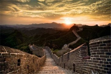 贵州成人高考可以报什么专业？