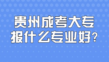 贵州成考大专报什么专业好?