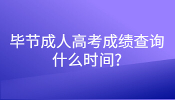 毕节成人高考成绩查询什么时间?