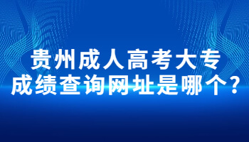 贵州成人高考大专成绩查询网址是哪个?