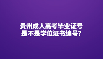 贵州成人高考毕业证号是不是学位证书编号?