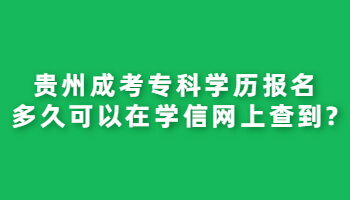 贵州成考专科学历报名多久可以在学信网上查到?