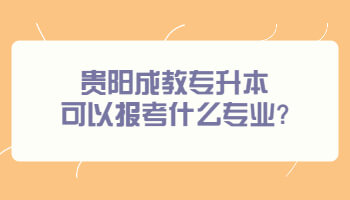 贵阳成教专升本可以报考什么专业?