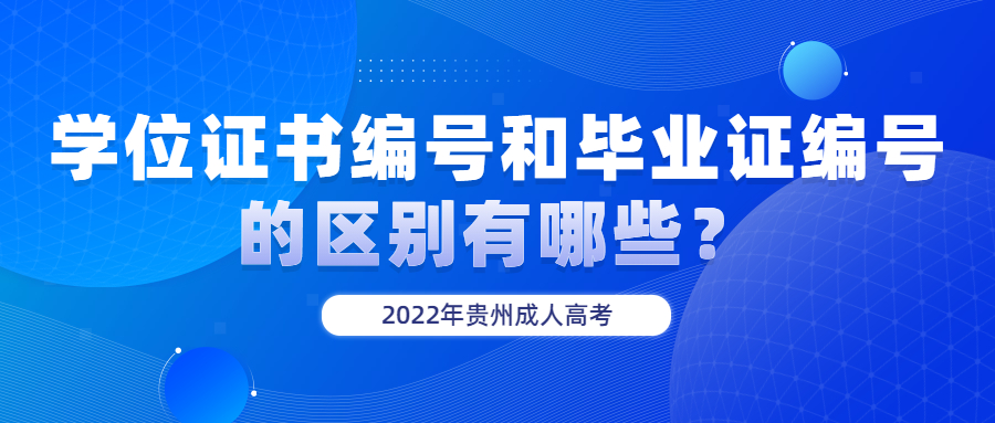 学位证书编号和毕业证编号的区别有哪些？