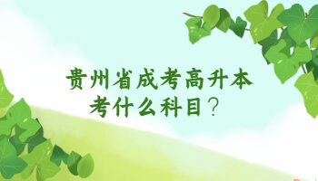 贵州省成考高升本考什么科目？