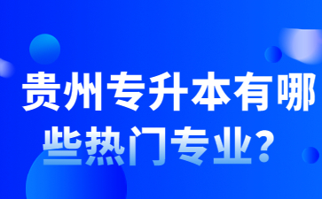 贵州专升本有哪些热门专业？