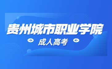 贵州城市职业学院成考报名流程?